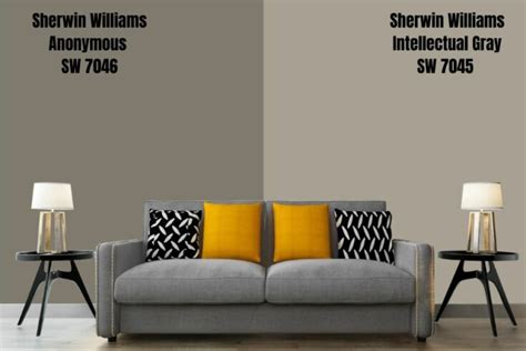 anonymous gray sherwin williams